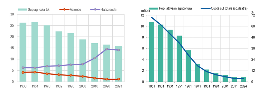 Da sinistra: FIGURA 1. AZIENDE E SUPERFICI AGRICOLE TOTALI (SAT) IN ITALIA. ANNI 1930-2023. Milioni di aziende e di ettari, ed ettari per azienda ; FIGURA 2. POPOLAZIONE IN CONDIZIONE PROFESSIONALE ATTIVA IN AGRICOLTURA AI CENSIMENTI. ANNI 1861-2024. Milioni e percentuali sul totale